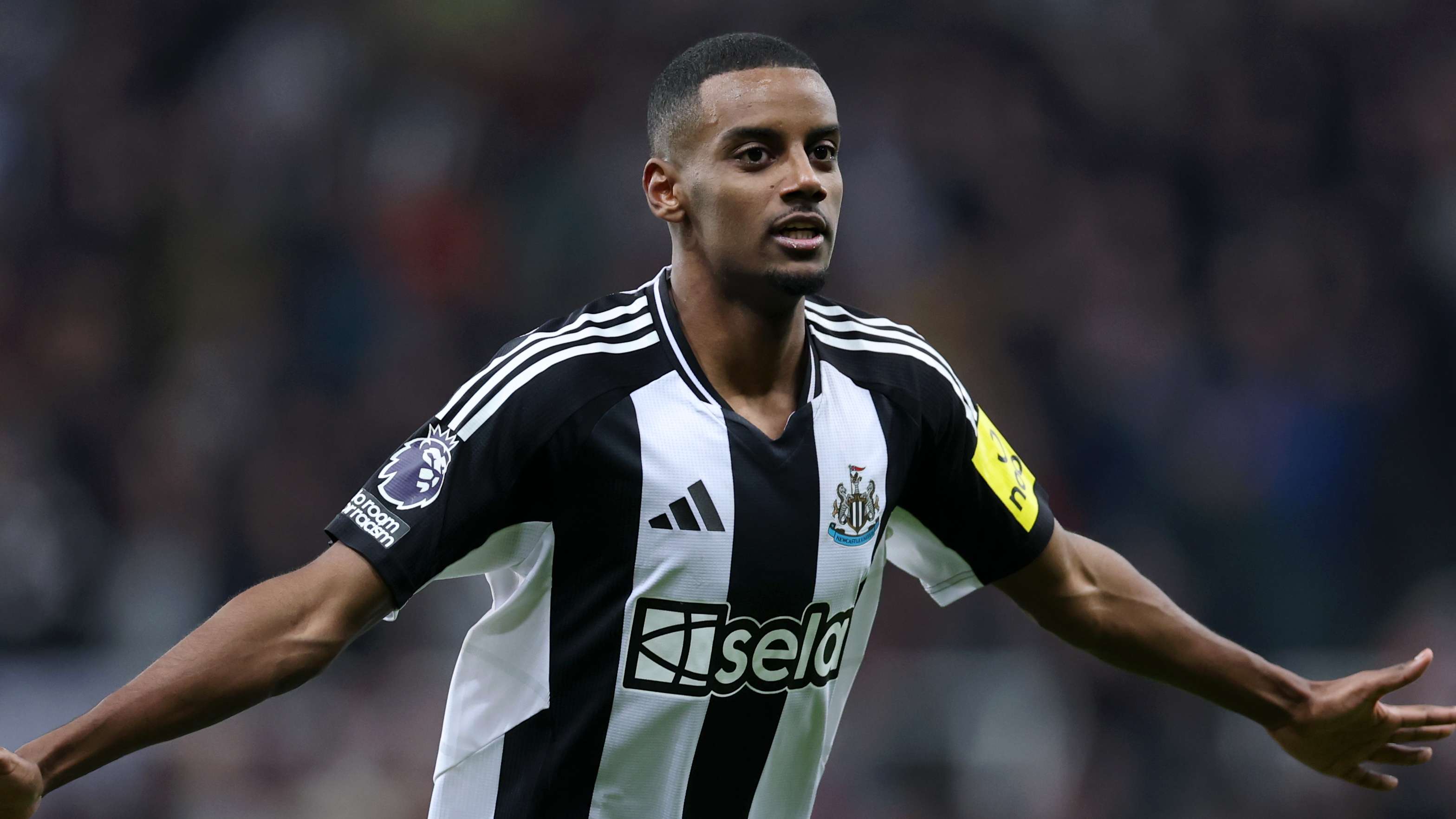 过去已经逐 过去已经逐